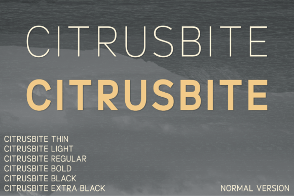Citrusbite: A Font That Speaks Clearly