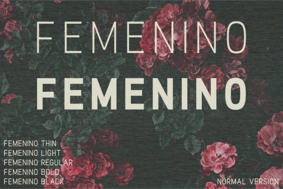 Femenino Font: Elegant Sans Serif for Crafters