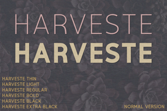 Harveste: A Elegant Sans Serif for Web Design