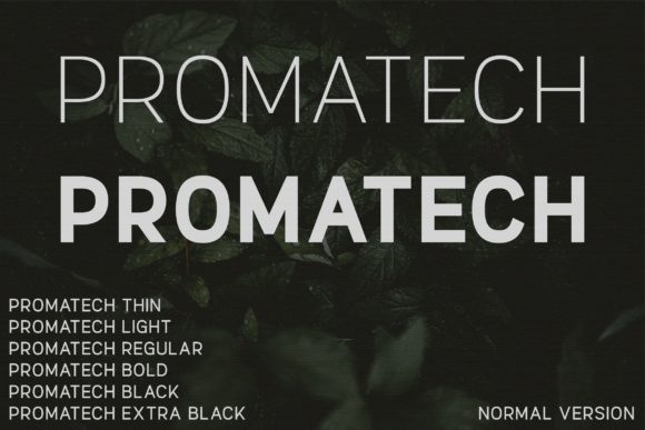 Promatech: A Modern Font for Web Design