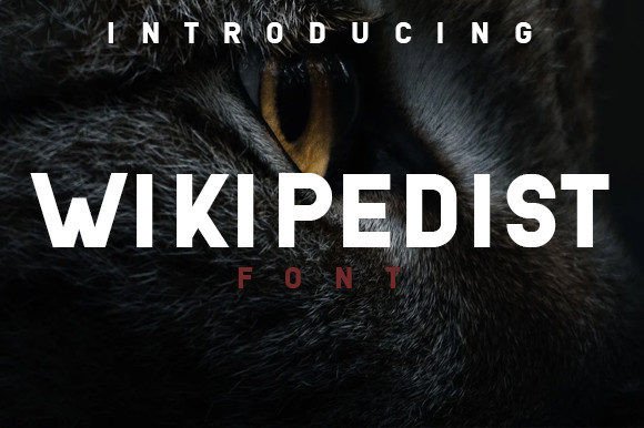 Wikipedist: A Modern Sans Serif Font